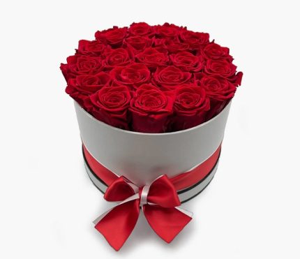 باکس گل رز قرمز 10 عددی