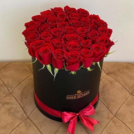 گل قرمز با باکس مشکی